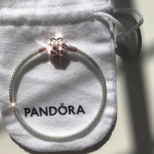 Pandora Mesh Bracelet